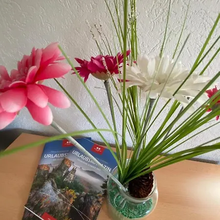 Waldblickwohnung Mit Gartensauna Und Kamin