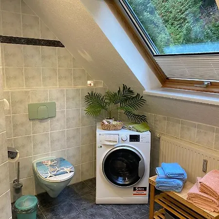 Waldblickwohnung Mit Schoener Terrasse Und Kamin&sauna Apartment