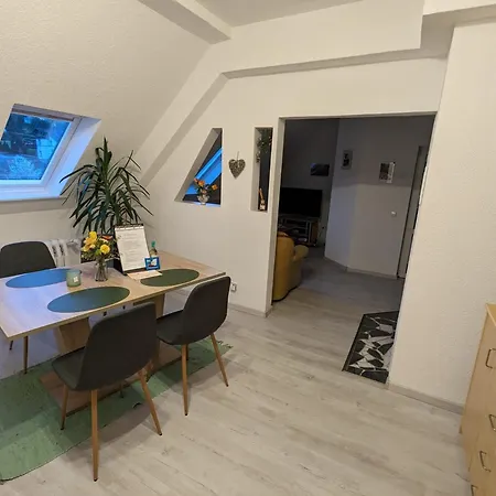 Waldblickwohnung Mit Schoener Terrasse Und Kamin Apartment Sebnitz