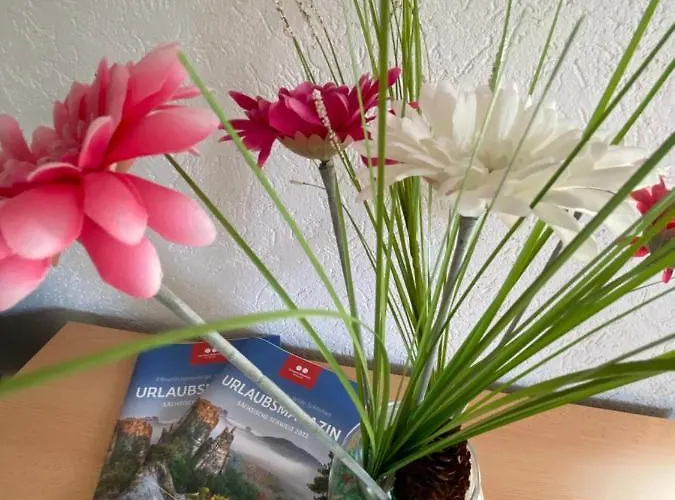 Waldblickwohnung Mit Schoener Terrasse Und Kamin&Sauna