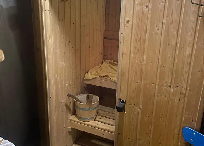 Waldblickwohnung Mit Schoener Terrasse Und Kamin&Sauna Appartement *